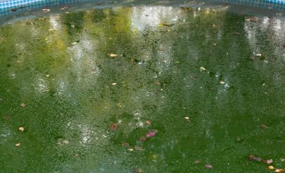 High Quality Algaecide 20 Litres Algicide algae controller remover